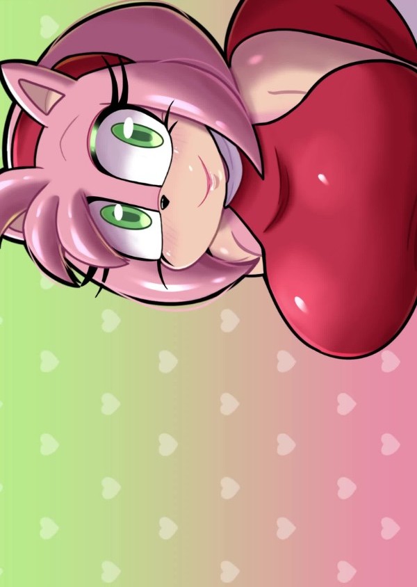 amy rose - chip (sonic) - sega - sonic (series) - raccoon sama
